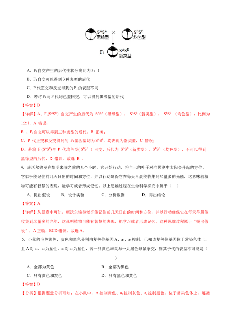 专题四遗传的基本规律和人类遗传病（测试）（解析版）_2024年新高考资料_2.2024二轮复习_2024年高考生物二轮复习讲练测（新教材新高考）