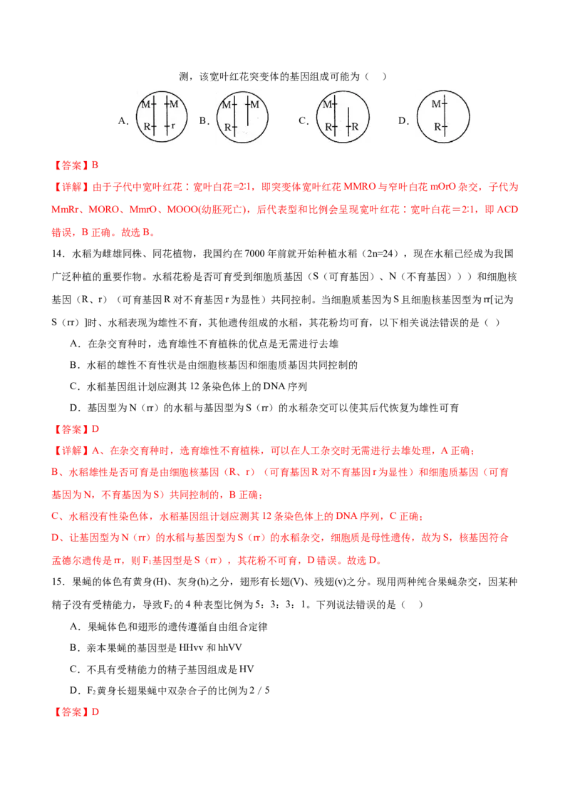 专题四遗传的基本规律和人类遗传病（测试）（解析版）_2024年新高考资料_2.2024二轮复习_2024年高考生物二轮复习讲练测（新教材新高考）