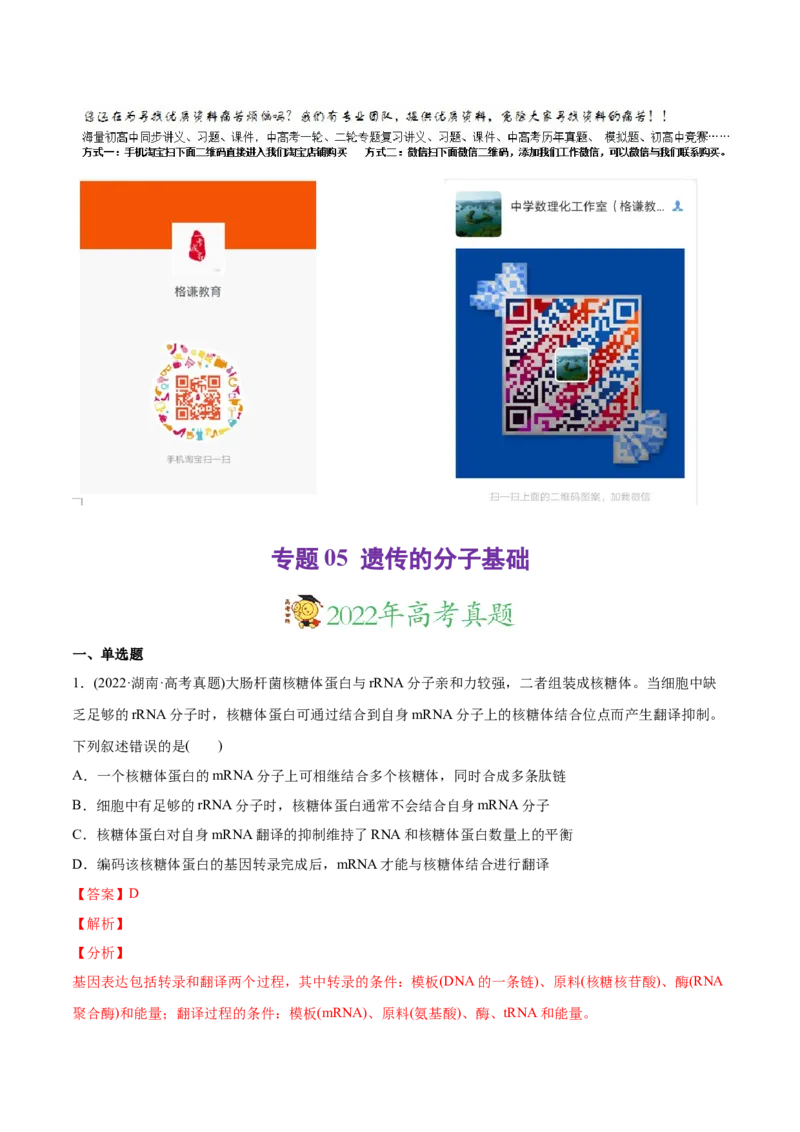 专题05遗传的分子基础-2022年高考真题和模拟题生物分专题训练（教师版含解析）_2024年新高考资料_1.2024一轮复习_赠2022年高考生物真题与模拟题分类
