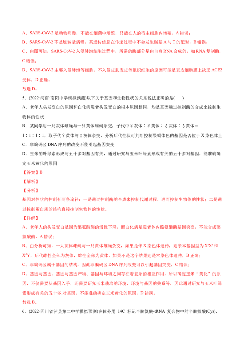 专题05遗传的分子基础-2022年高考真题和模拟题生物分专题训练（教师版含解析）_2024年新高考资料_1.2024一轮复习_赠2022年高考生物真题与模拟题分类