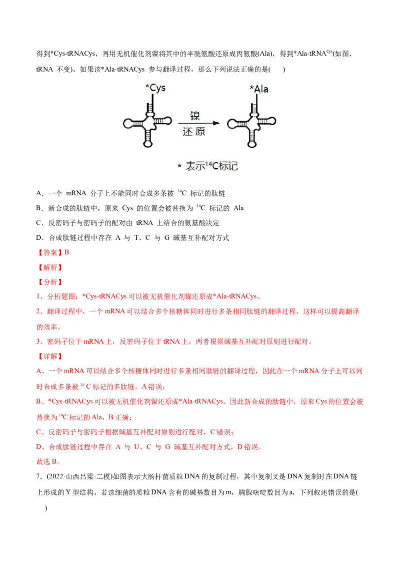 专题05遗传的分子基础-2022年高考真题和模拟题生物分专题训练（教师版含解析）_2024年新高考资料_1.2024一轮复习_赠2022年高考生物真题与模拟题分类