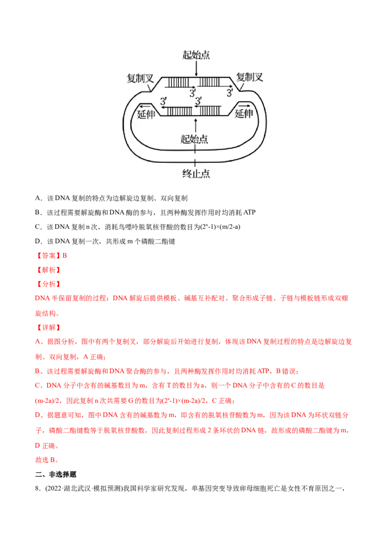 专题05遗传的分子基础-2022年高考真题和模拟题生物分专题训练（教师版含解析）_2024年新高考资料_1.2024一轮复习_赠2022年高考生物真题与模拟题分类