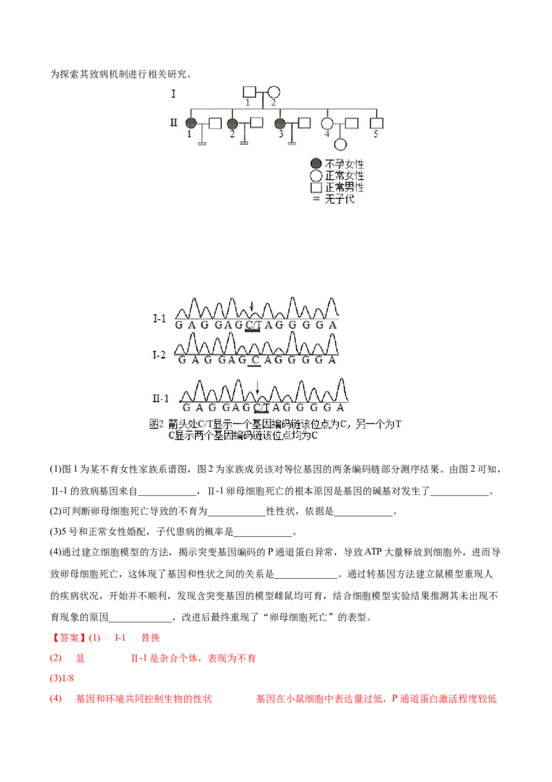 专题05遗传的分子基础-2022年高考真题和模拟题生物分专题训练（教师版含解析）_2024年新高考资料_1.2024一轮复习_赠2022年高考生物真题与模拟题分类