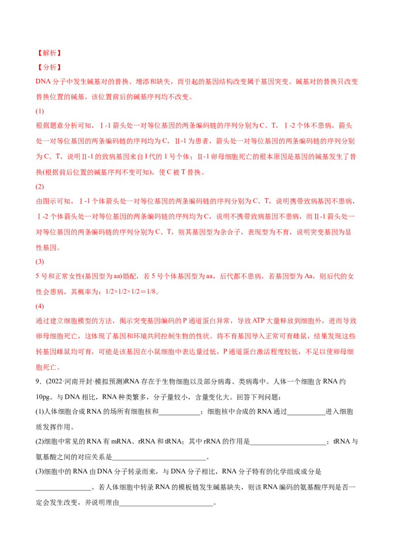 专题05遗传的分子基础-2022年高考真题和模拟题生物分专题训练（教师版含解析）_2024年新高考资料_1.2024一轮复习_赠2022年高考生物真题与模拟题分类