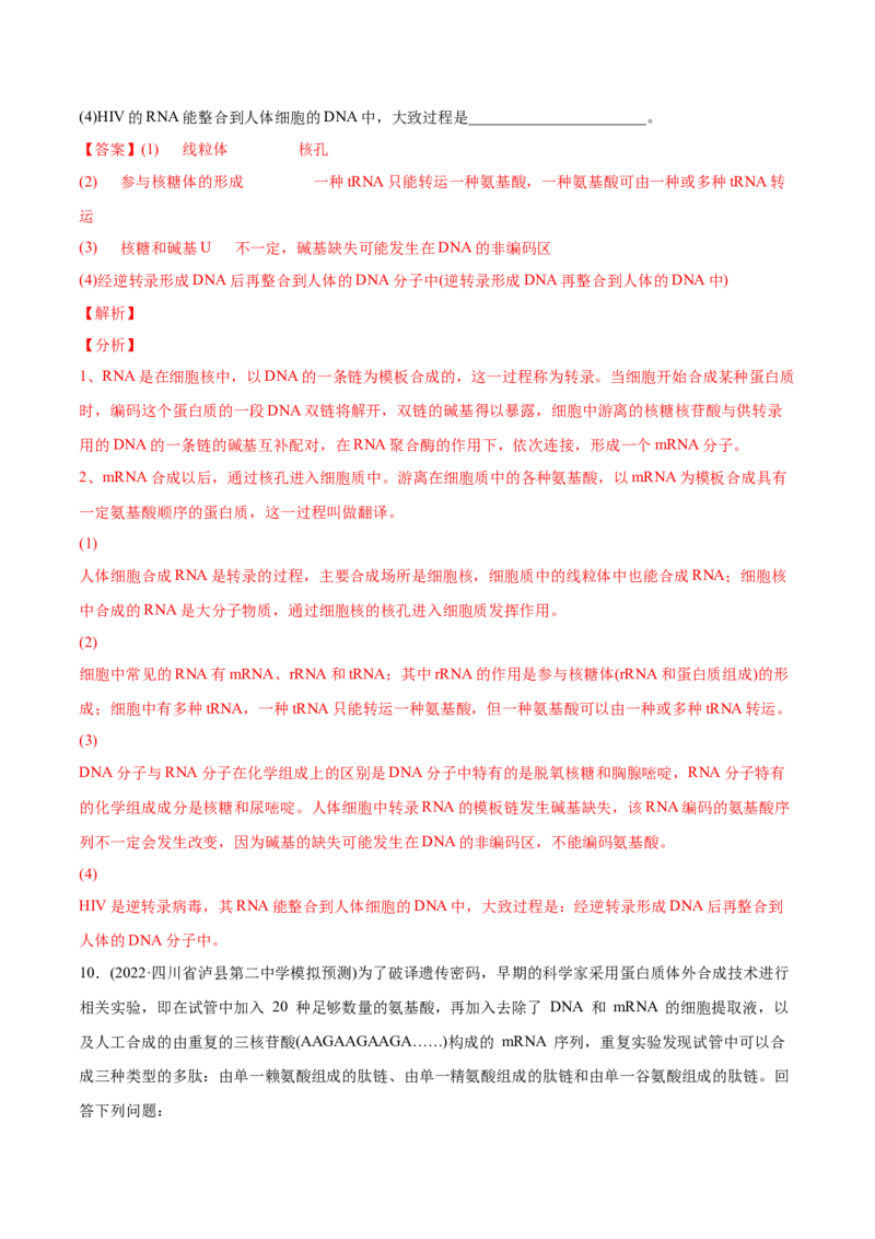 专题05遗传的分子基础-2022年高考真题和模拟题生物分专题训练（教师版含解析）_2024年新高考资料_1.2024一轮复习_赠2022年高考生物真题与模拟题分类
