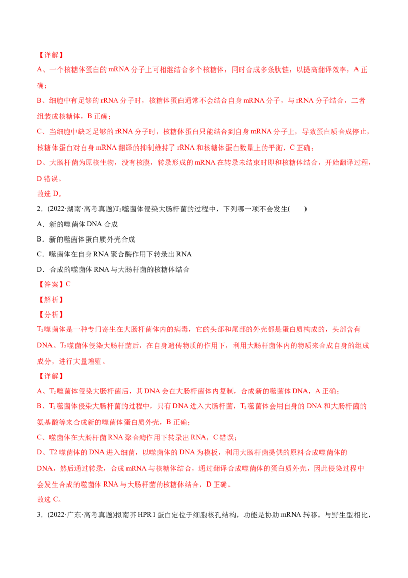 专题05遗传的分子基础-2022年高考真题和模拟题生物分专题训练（教师版含解析）_2024年新高考资料_1.2024一轮复习_赠2022年高考生物真题与模拟题分类