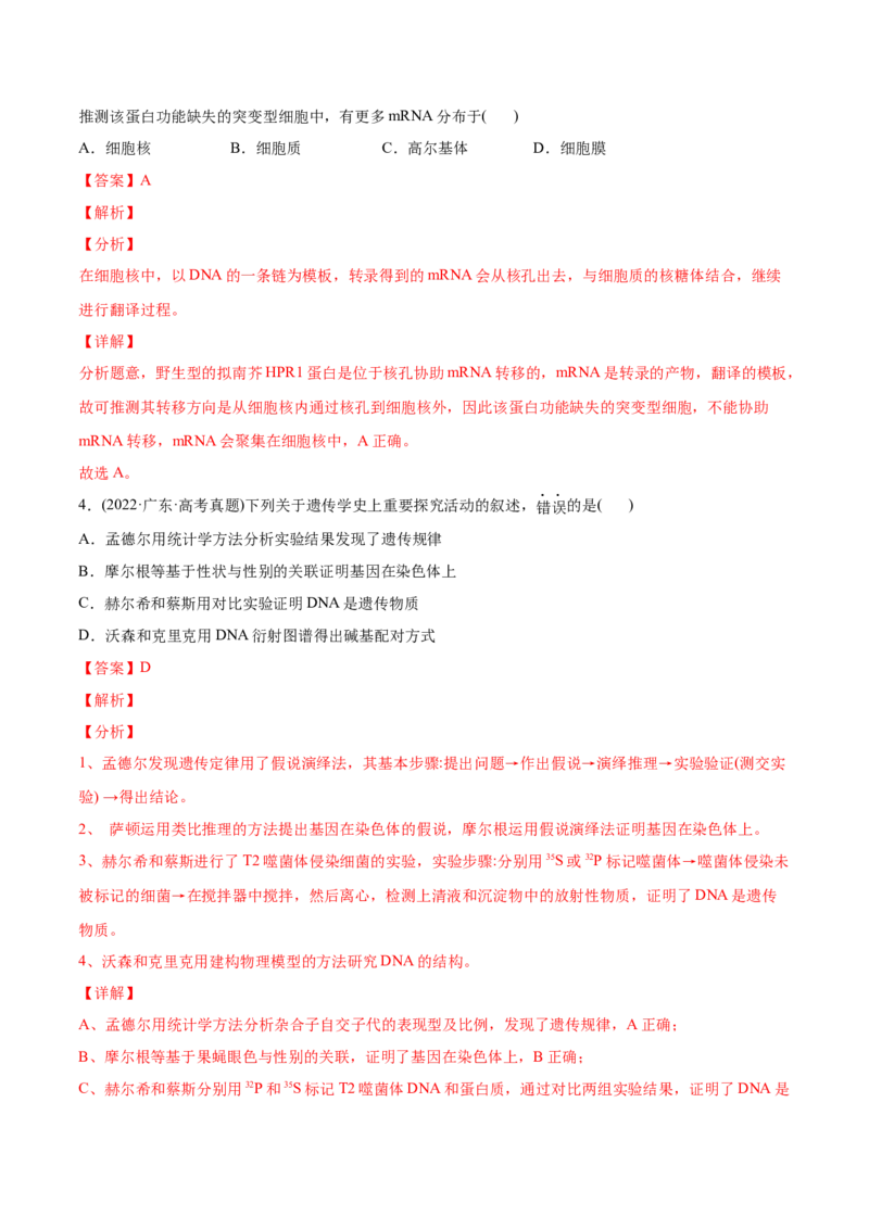 专题05遗传的分子基础-2022年高考真题和模拟题生物分专题训练（教师版含解析）_2024年新高考资料_1.2024一轮复习_赠2022年高考生物真题与模拟题分类
