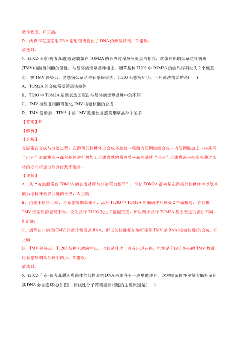 专题05遗传的分子基础-2022年高考真题和模拟题生物分专题训练（教师版含解析）_2024年新高考资料_1.2024一轮复习_赠2022年高考生物真题与模拟题分类