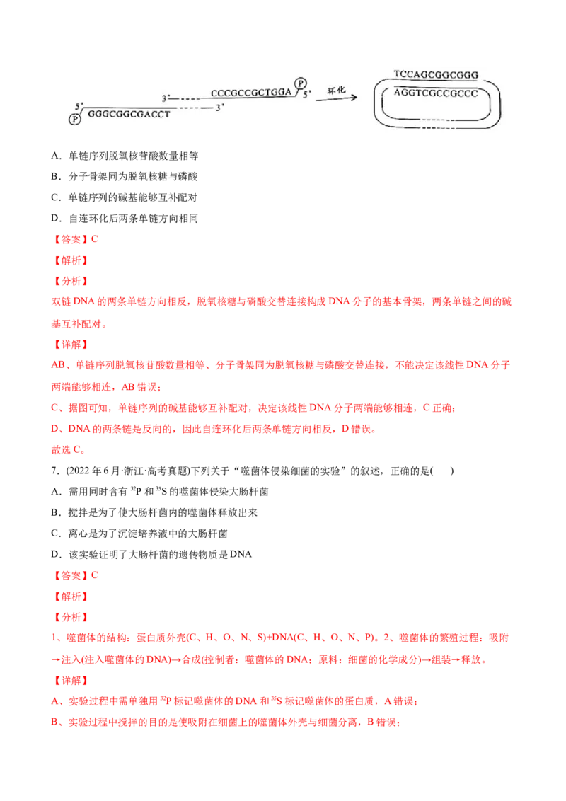 专题05遗传的分子基础-2022年高考真题和模拟题生物分专题训练（教师版含解析）_2024年新高考资料_1.2024一轮复习_赠2022年高考生物真题与模拟题分类