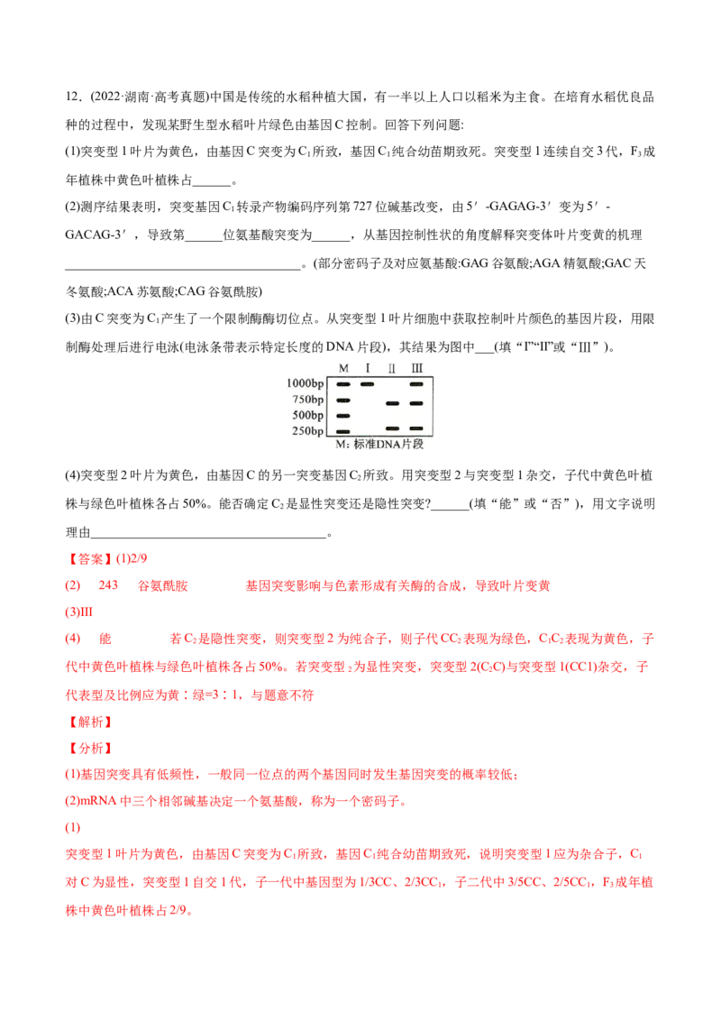 专题05遗传的分子基础-2022年高考真题和模拟题生物分专题训练（教师版含解析）_2024年新高考资料_1.2024一轮复习_赠2022年高考生物真题与模拟题分类
