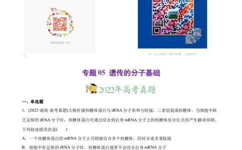 专题05遗传的分子基础-2022年高考真题和模拟题生物分专题训练（教师版含解析）_2024年新高考资料_1.2024一轮复习_赠2022年高考生物真题与模拟题分类