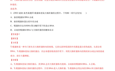 专题05遗传的分子基础-2022年高考真题和模拟题生物分专题训练（教师版含解析）_2024年新高考资料_1.2024一轮复习_赠2022年高考生物真题与模拟题分类