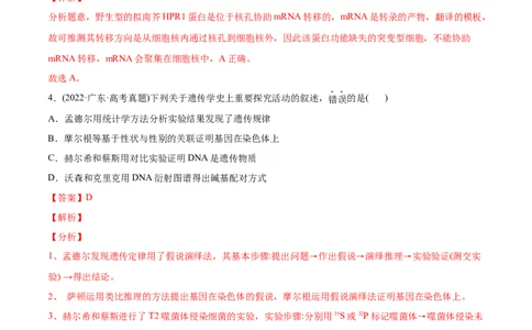 专题05遗传的分子基础-2022年高考真题和模拟题生物分专题训练（教师版含解析）_2024年新高考资料_1.2024一轮复习_赠2022年高考生物真题与模拟题分类