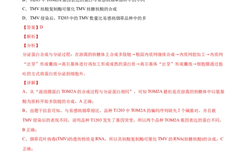 专题05遗传的分子基础-2022年高考真题和模拟题生物分专题训练（教师版含解析）_2024年新高考资料_1.2024一轮复习_赠2022年高考生物真题与模拟题分类