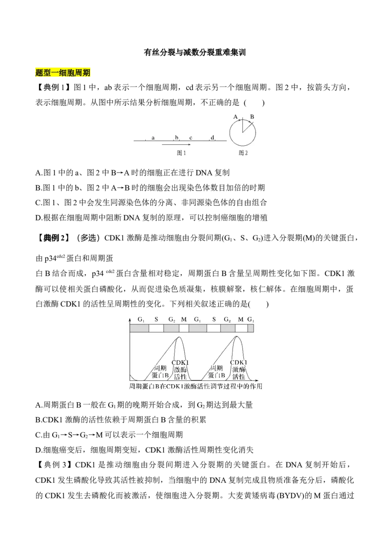 专题二有丝分裂与减数分裂重难集训（原卷版）_2024年新高考资料_5.2024三轮冲刺_2024年高考生物考前最后冲刺