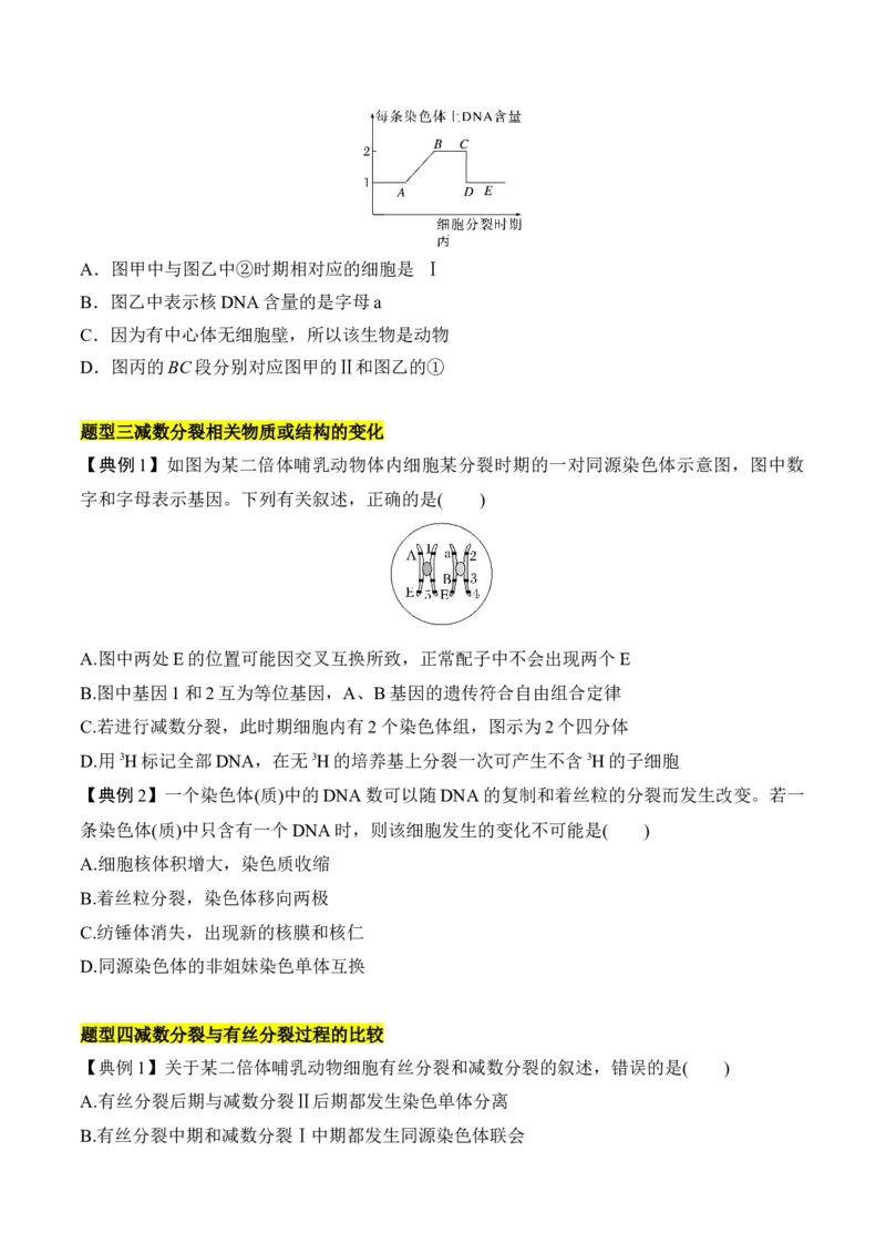 专题二有丝分裂与减数分裂重难集训（原卷版）_2024年新高考资料_5.2024三轮冲刺_2024年高考生物考前最后冲刺