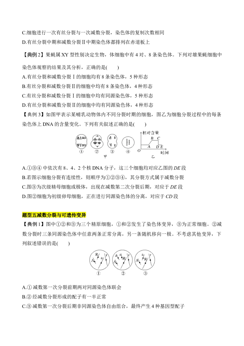 专题二有丝分裂与减数分裂重难集训（原卷版）_2024年新高考资料_5.2024三轮冲刺_2024年高考生物考前最后冲刺