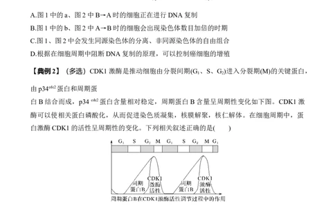 专题二有丝分裂与减数分裂重难集训（原卷版）_2024年新高考资料_5.2024三轮冲刺_2024年高考生物考前最后冲刺
