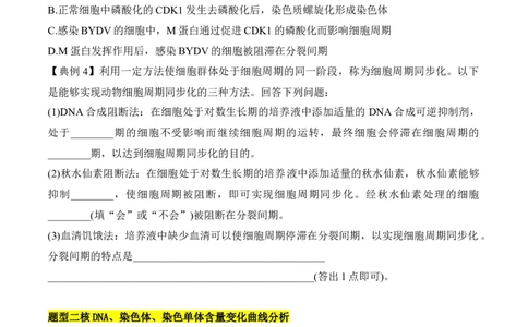 专题二有丝分裂与减数分裂重难集训（原卷版）_2024年新高考资料_5.2024三轮冲刺_2024年高考生物考前最后冲刺