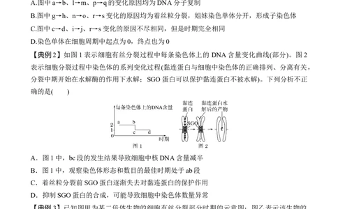 专题二有丝分裂与减数分裂重难集训（原卷版）_2024年新高考资料_5.2024三轮冲刺_2024年高考生物考前最后冲刺