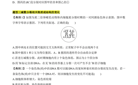 专题二有丝分裂与减数分裂重难集训（原卷版）_2024年新高考资料_5.2024三轮冲刺_2024年高考生物考前最后冲刺
