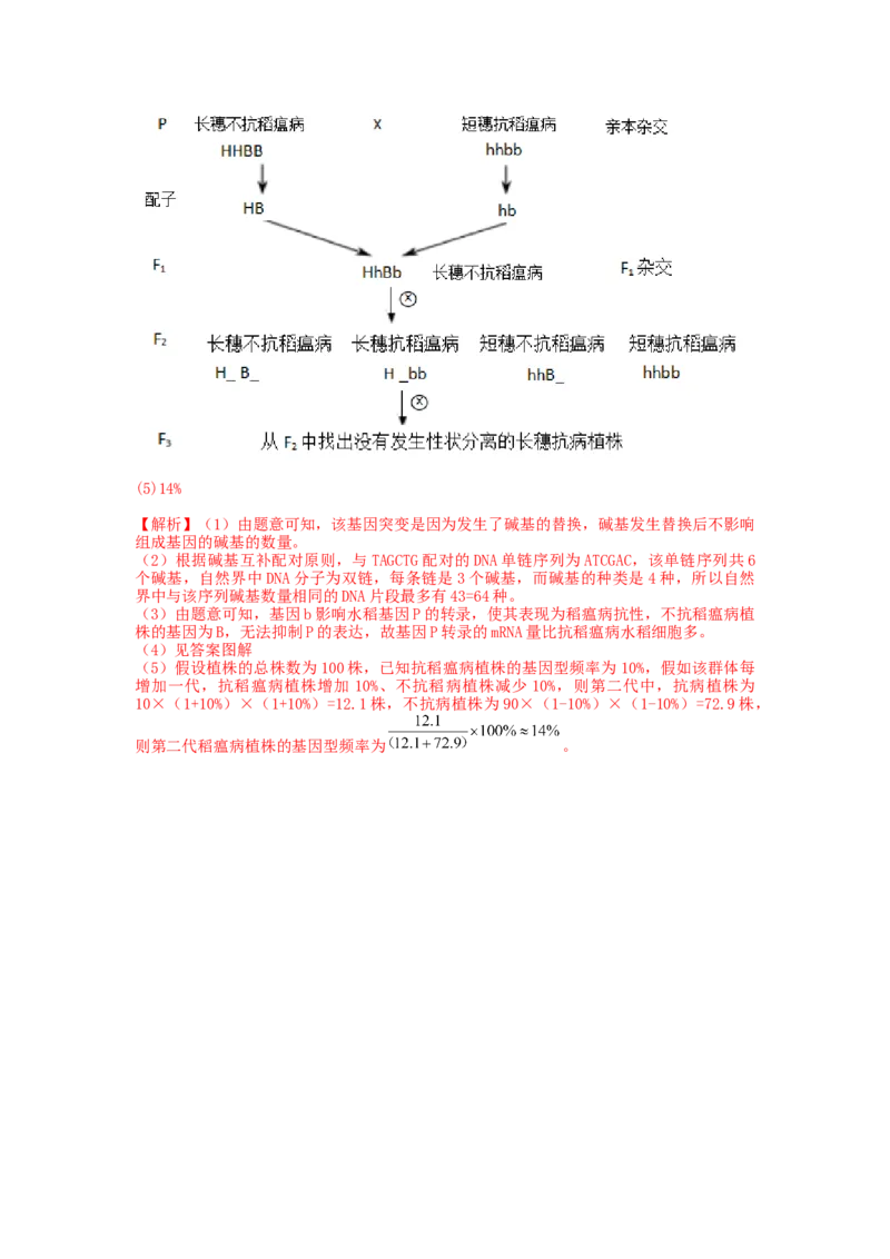 专题22生物的进化（串讲）（解析版）_2024年新高考资料_1.2024一轮复习_备战2024年高考生物一轮复习串讲精练（新高考专用）