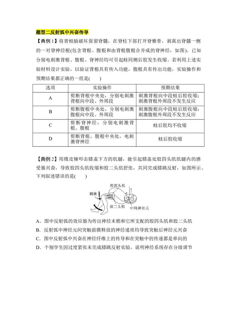 专题七神经调节重难集训（原卷版）_2024年新高考资料_5.2024三轮冲刺_2024年高考生物考前最后冲刺