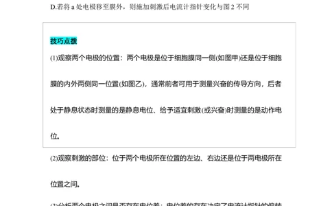 专题七神经调节重难集训（原卷版）_2024年新高考资料_5.2024三轮冲刺_2024年高考生物考前最后冲刺