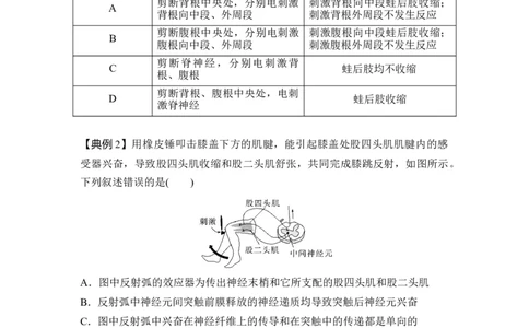 专题七神经调节重难集训（原卷版）_2024年新高考资料_5.2024三轮冲刺_2024年高考生物考前最后冲刺