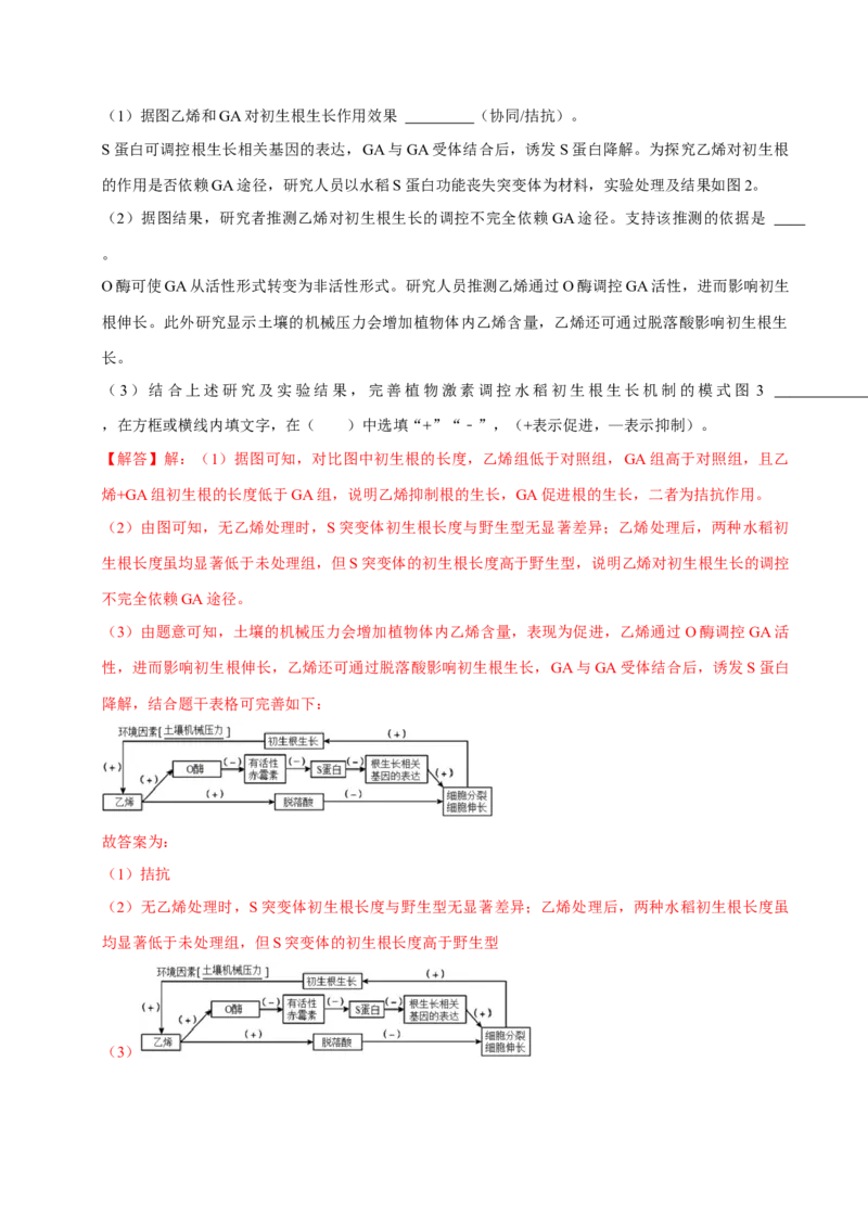 专题06植物生命活动的调节（解析版）_2024年新高考资料_3.2024专项复习_2024年高考生物热点&middot;重点&middot;难点专练（上海专用）
