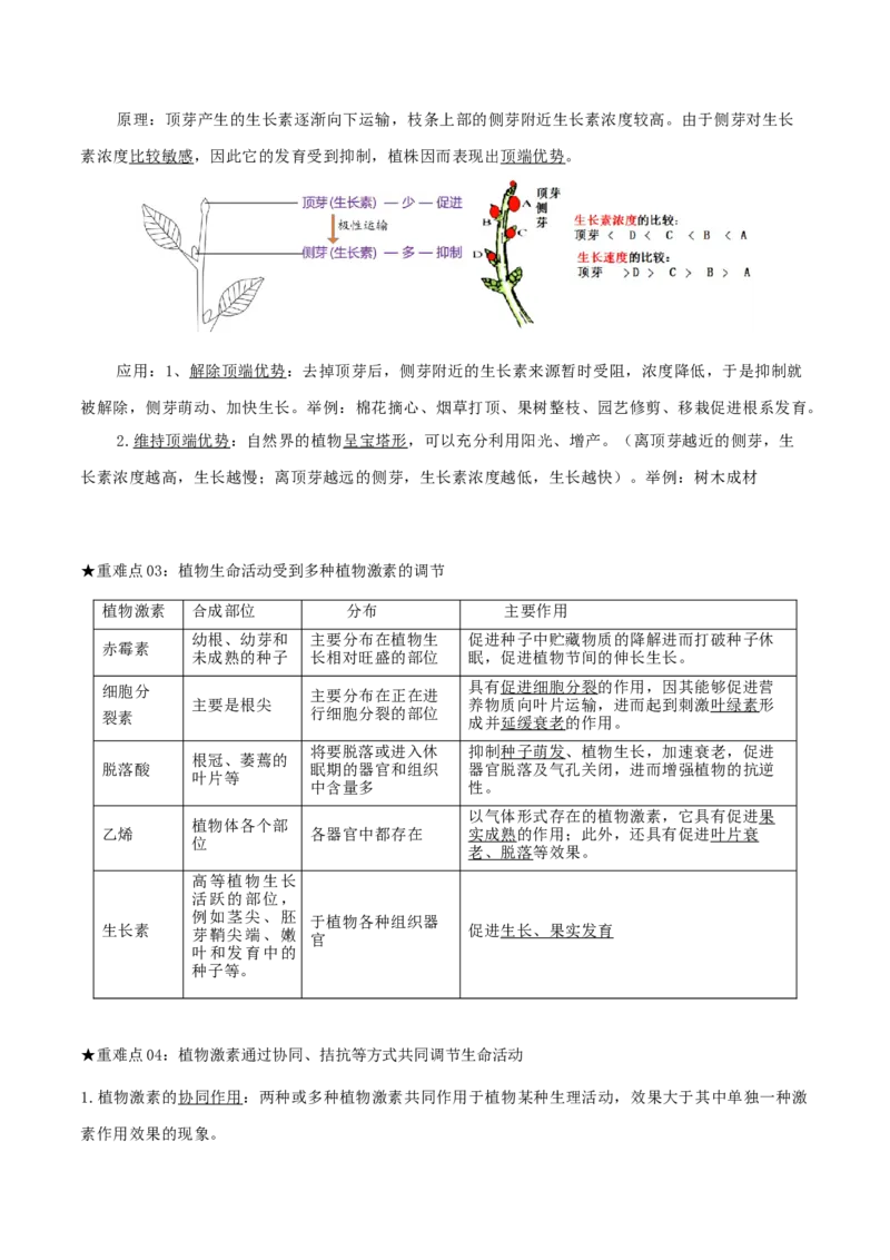 专题06植物生命活动的调节（解析版）_2024年新高考资料_3.2024专项复习_2024年高考生物热点&middot;重点&middot;难点专练（上海专用）
