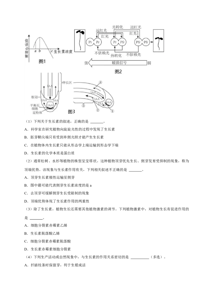 专题06植物生命活动的调节（解析版）_2024年新高考资料_3.2024专项复习_2024年高考生物热点&middot;重点&middot;难点专练（上海专用）