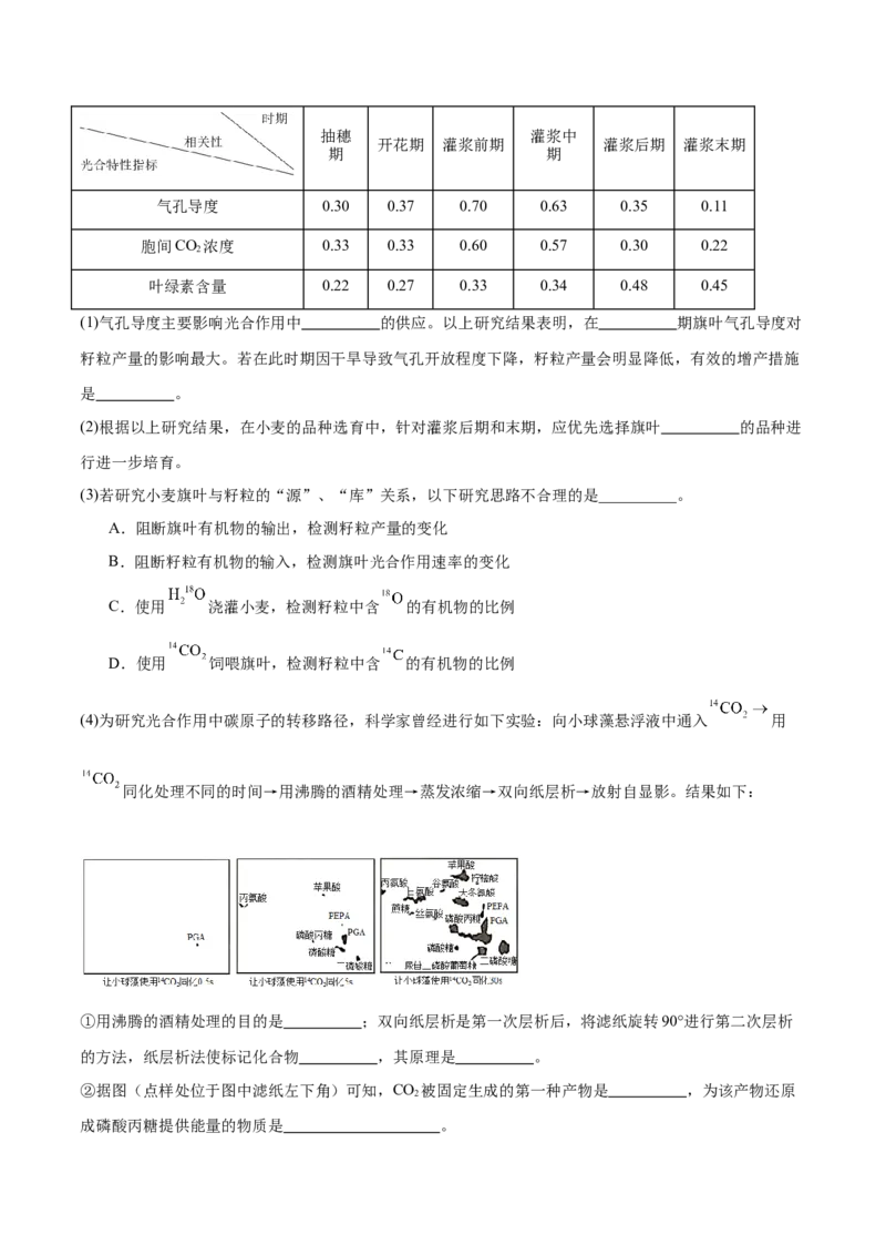 专题二细胞的能量供应和利用（测试）（原卷版）_2024年新高考资料_2.2024二轮复习_2024年高考生物二轮复习讲练测（新教材新高考）