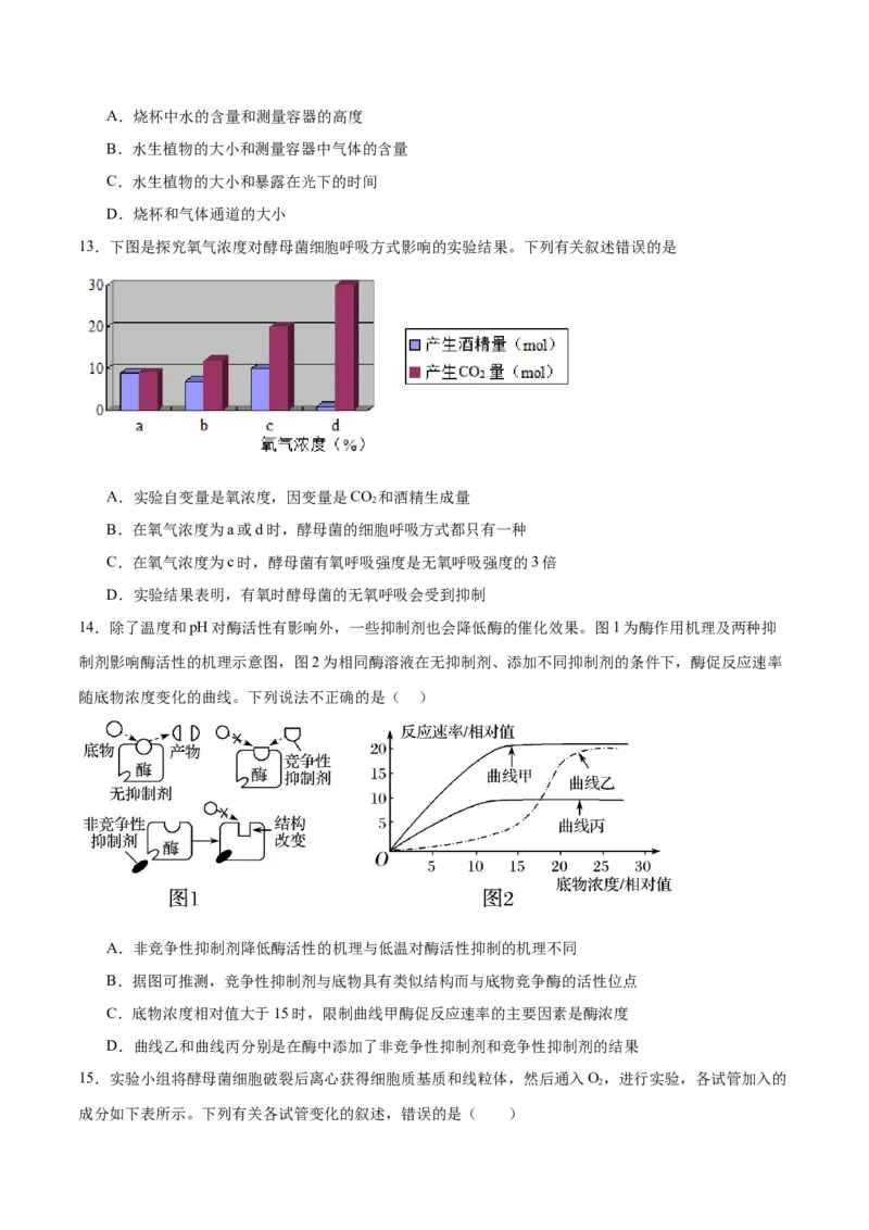专题二细胞的能量供应和利用（测试）（原卷版）_2024年新高考资料_2.2024二轮复习_2024年高考生物二轮复习讲练测（新教材新高考）