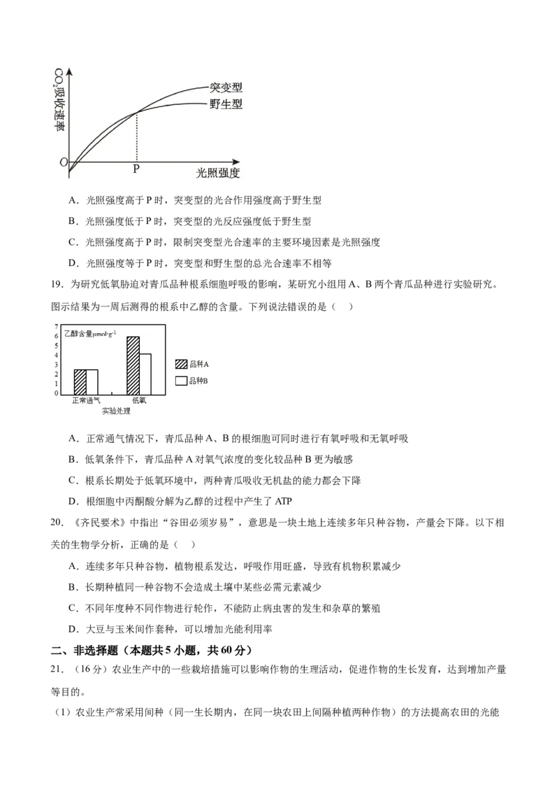 专题二细胞的能量供应和利用（测试）（原卷版）_2024年新高考资料_2.2024二轮复习_2024年高考生物二轮复习讲练测（新教材新高考）