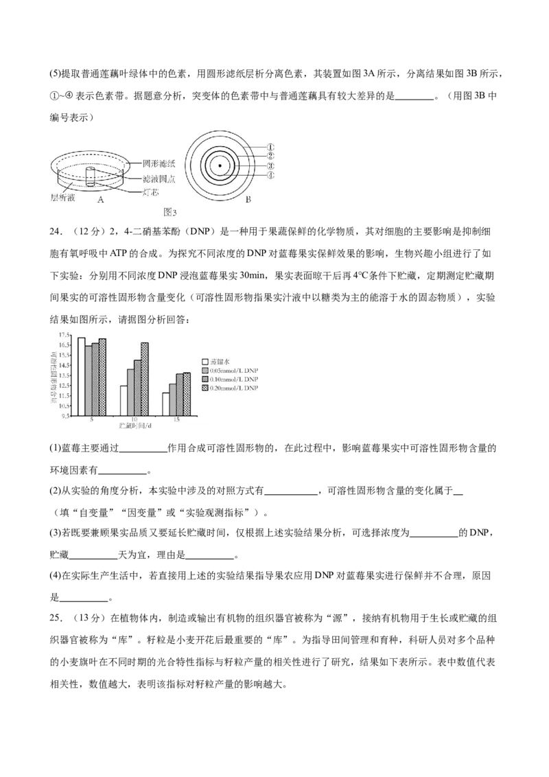 专题二细胞的能量供应和利用（测试）（原卷版）_2024年新高考资料_2.2024二轮复习_2024年高考生物二轮复习讲练测（新教材新高考）