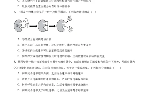 专题二细胞的能量供应和利用（测试）（原卷版）_2024年新高考资料_2.2024二轮复习_2024年高考生物二轮复习讲练测（新教材新高考）