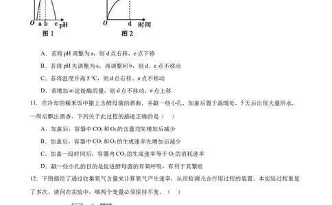 专题二细胞的能量供应和利用（测试）（原卷版）_2024年新高考资料_2.2024二轮复习_2024年高考生物二轮复习讲练测（新教材新高考）