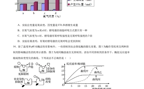 专题二细胞的能量供应和利用（测试）（原卷版）_2024年新高考资料_2.2024二轮复习_2024年高考生物二轮复习讲练测（新教材新高考）