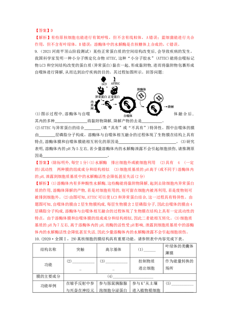 专题05细胞器和生物膜系统（串讲）（解析版）_2024年新高考资料_1.2024一轮复习_备战2024年高考生物一轮复习串讲精练（新高考专用）
