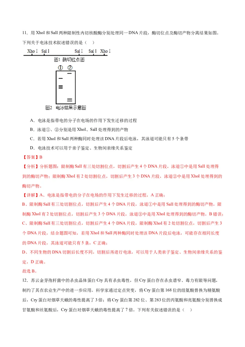 专题43基因工程（解析版）_2024年新高考资料_3.2024专项复习_备战2024年高考生物一轮复习重难点专项突破_专题43基因工程-备战2024年高考生物一轮复习重难点专项突破