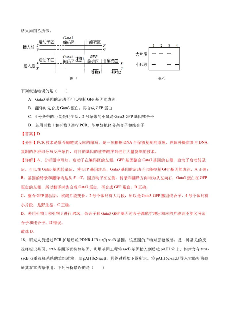 专题43基因工程（解析版）_2024年新高考资料_3.2024专项复习_备战2024年高考生物一轮复习重难点专项突破_专题43基因工程-备战2024年高考生物一轮复习重难点专项突破