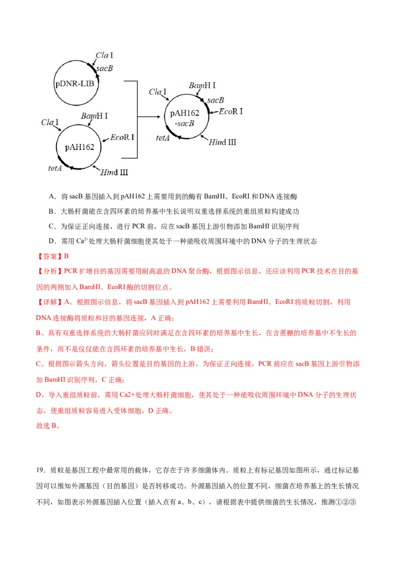 专题43基因工程（解析版）_2024年新高考资料_3.2024专项复习_备战2024年高考生物一轮复习重难点专项突破_专题43基因工程-备战2024年高考生物一轮复习重难点专项突破