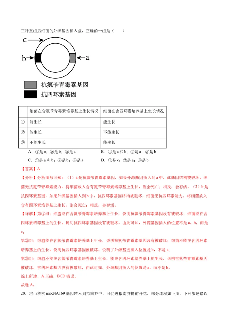 专题43基因工程（解析版）_2024年新高考资料_3.2024专项复习_备战2024年高考生物一轮复习重难点专项突破_专题43基因工程-备战2024年高考生物一轮复习重难点专项突破
