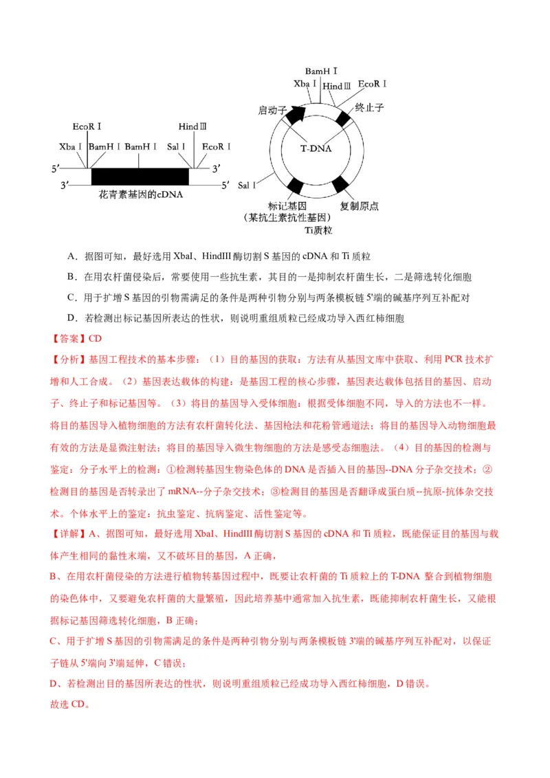 专题43基因工程（解析版）_2024年新高考资料_3.2024专项复习_备战2024年高考生物一轮复习重难点专项突破_专题43基因工程-备战2024年高考生物一轮复习重难点专项突破