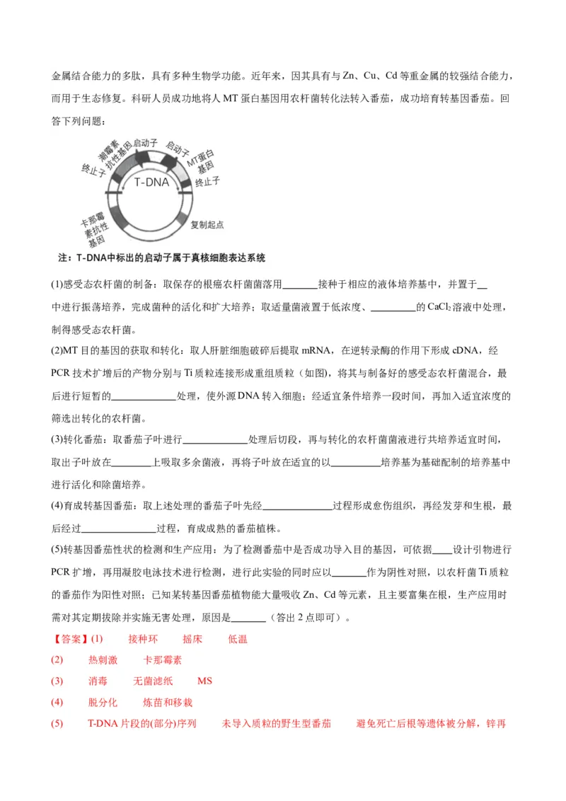 专题43基因工程（解析版）_2024年新高考资料_3.2024专项复习_备战2024年高考生物一轮复习重难点专项突破_专题43基因工程-备战2024年高考生物一轮复习重难点专项突破