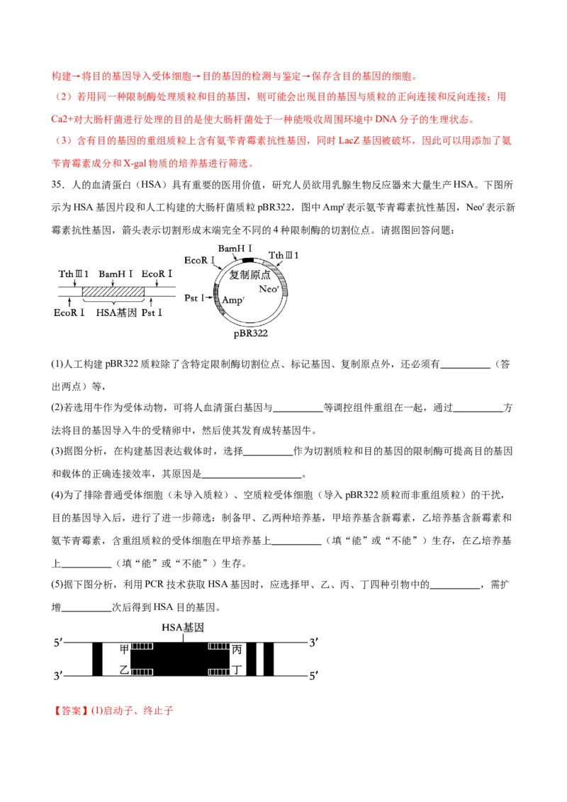 专题43基因工程（解析版）_2024年新高考资料_3.2024专项复习_备战2024年高考生物一轮复习重难点专项突破_专题43基因工程-备战2024年高考生物一轮复习重难点专项突破