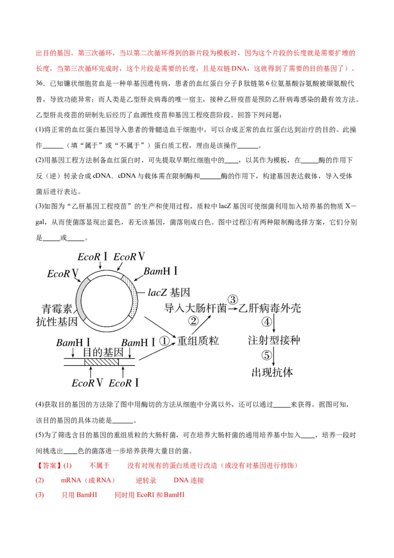 专题43基因工程（解析版）_2024年新高考资料_3.2024专项复习_备战2024年高考生物一轮复习重难点专项突破_专题43基因工程-备战2024年高考生物一轮复习重难点专项突破