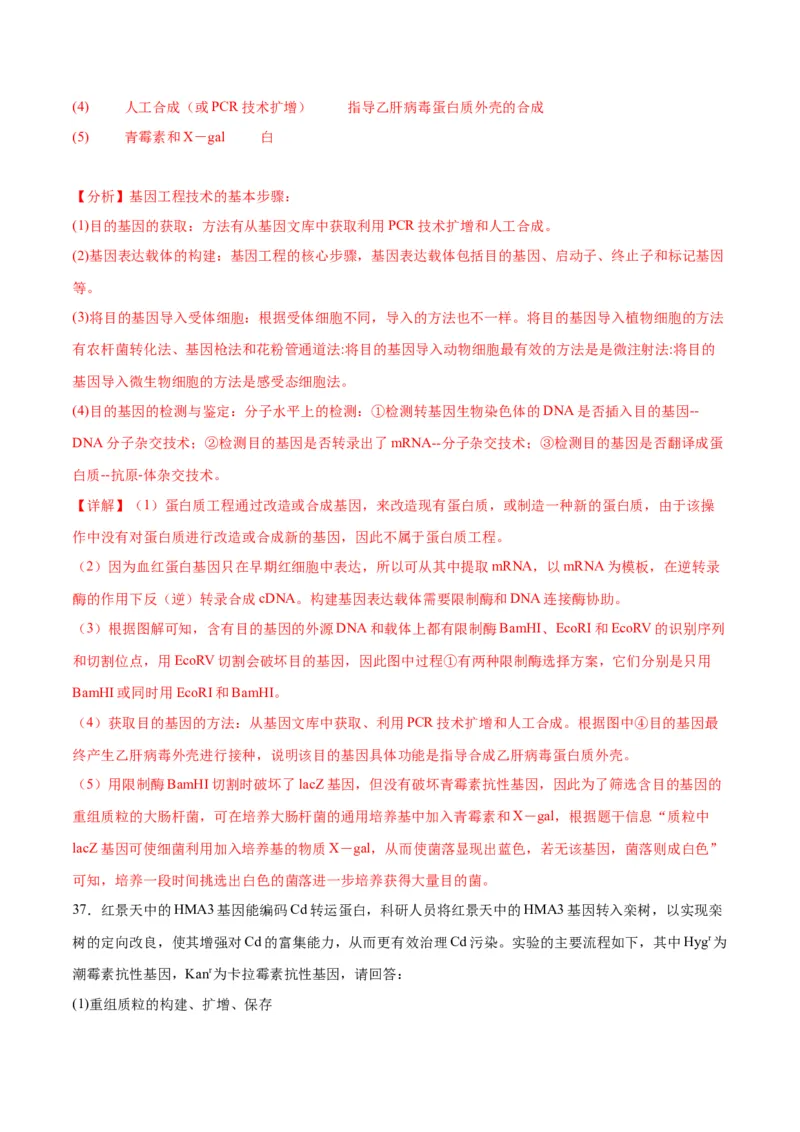 专题43基因工程（解析版）_2024年新高考资料_3.2024专项复习_备战2024年高考生物一轮复习重难点专项突破_专题43基因工程-备战2024年高考生物一轮复习重难点专项突破