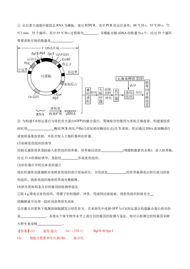 专题43基因工程（解析版）_2024年新高考资料_3.2024专项复习_备战2024年高考生物一轮复习重难点专项突破_专题43基因工程-备战2024年高考生物一轮复习重难点专项突破